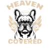 French Bulldog Frenchie Dog Breed