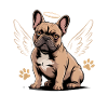 French Bulldog Frenchie Dog Breed