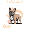 French Bulldog Frenchie Dog Breed