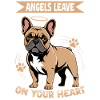 French Bulldog Frenchie Dog Breed