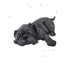Sleeping Pug Needs More Sleep