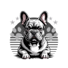 French Bulldog Frenchie Dog Breed