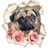 Carlin aux roses