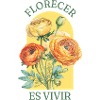 Florale Ranunkeln