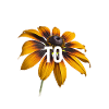 Choose To Shine