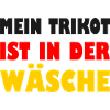 Ersatztrikot