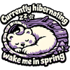 Hibernation Sleeping Animal