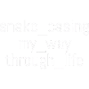 Snake Casing – Lebensweg | Informatiker | Nerd