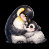 Maman Pingouin câline son bébé