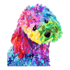 Rainbow Poodle Pop Art