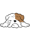 Petit rêveur Snooze