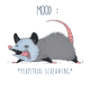 Building Character Apparently Possum Shirt