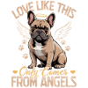 French Bulldog Frenchie Dog Breed