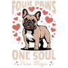 French Bulldog Frenchie Dog Breed