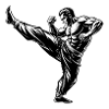 Fighter Kick