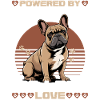 French Bulldog Frenchie Dog Breed