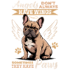 French Bulldog Frenchie Dog Breed