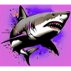 Requin