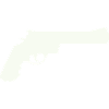Gun