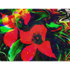 Neonrote Blüten im Farbwirbel
