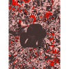 Dark flower contrast on red