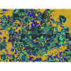 Neonblüten Psychedelisches Floraldesign