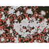 Red Nebula Abstract Pattern