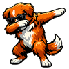 Dabbing Nova Scotia Duck Tolling Retriever