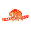 U wot m8 - Orange Cat