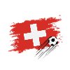 Fussball Fan Schweiz