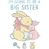 Kønsafsløring babyshower storesøsterbaby