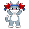 Cat Boxer Gants de boxe Boxe