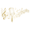 Singer Microphone Karaoke Musician Microphone Singing