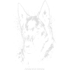 Malinois - Psycho with Purpose
