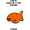 Hilarious funny image of goldfish pet