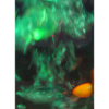 Grünes Aurora Lichtspiel