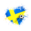 Fussball Fan Schweden