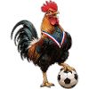 Coq de village ballon au pied