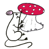 Mouse Toadstool Mushrooms