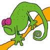 Chamaeleon am Ast – bunte Pop-Illustration