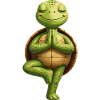 Zen Schildkröte im Gleichgewicht