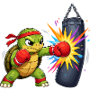 Boxing Turtle Boxing Training
