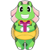 Turtle Bridal Package Wedding