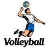 Volley-ball-ball