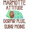 Marmotte Attitude Dormir Plus