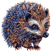 Igel Bunt