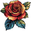 Rose Blume