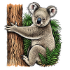 Koala auf dem Baum