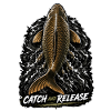 Catch & Release Karpfenfischen