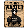 Most Wanted Funny Carp Fishin